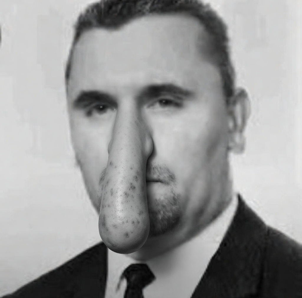 Wicelider Posadniczy